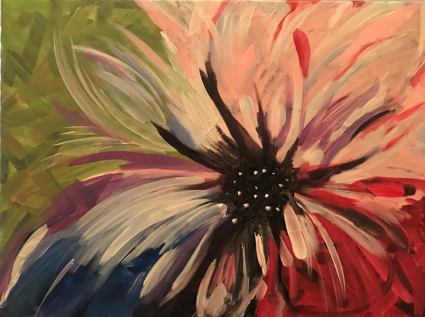 Beautiful Bursting Color - Gift